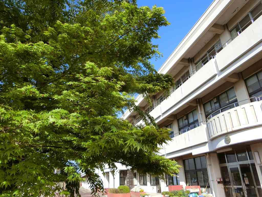 ブログ 相模原市立新宿小学校