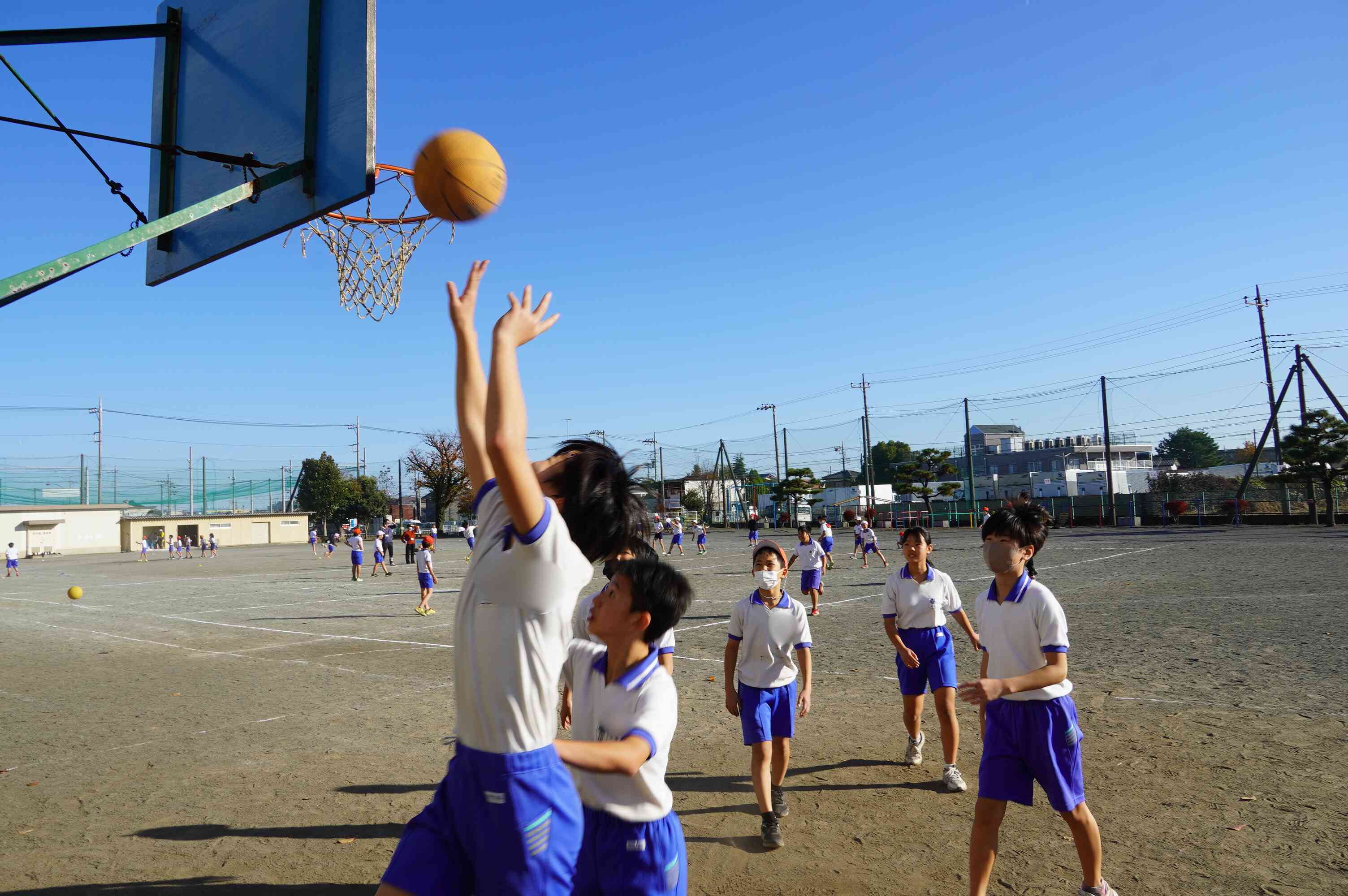 41fa4ced-c929-4aa8-bea0-beb3ec426eee